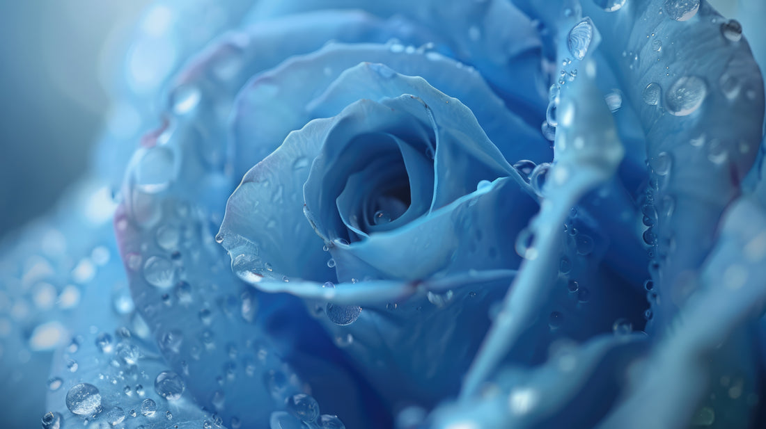 Our guide to skin hydration: Unlocking the secret to radiant skin