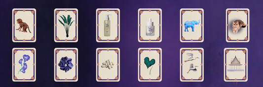 A Season to Turn Inward - Introducing the Cha Cha Noi Oracle Cards