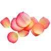 Rose Water